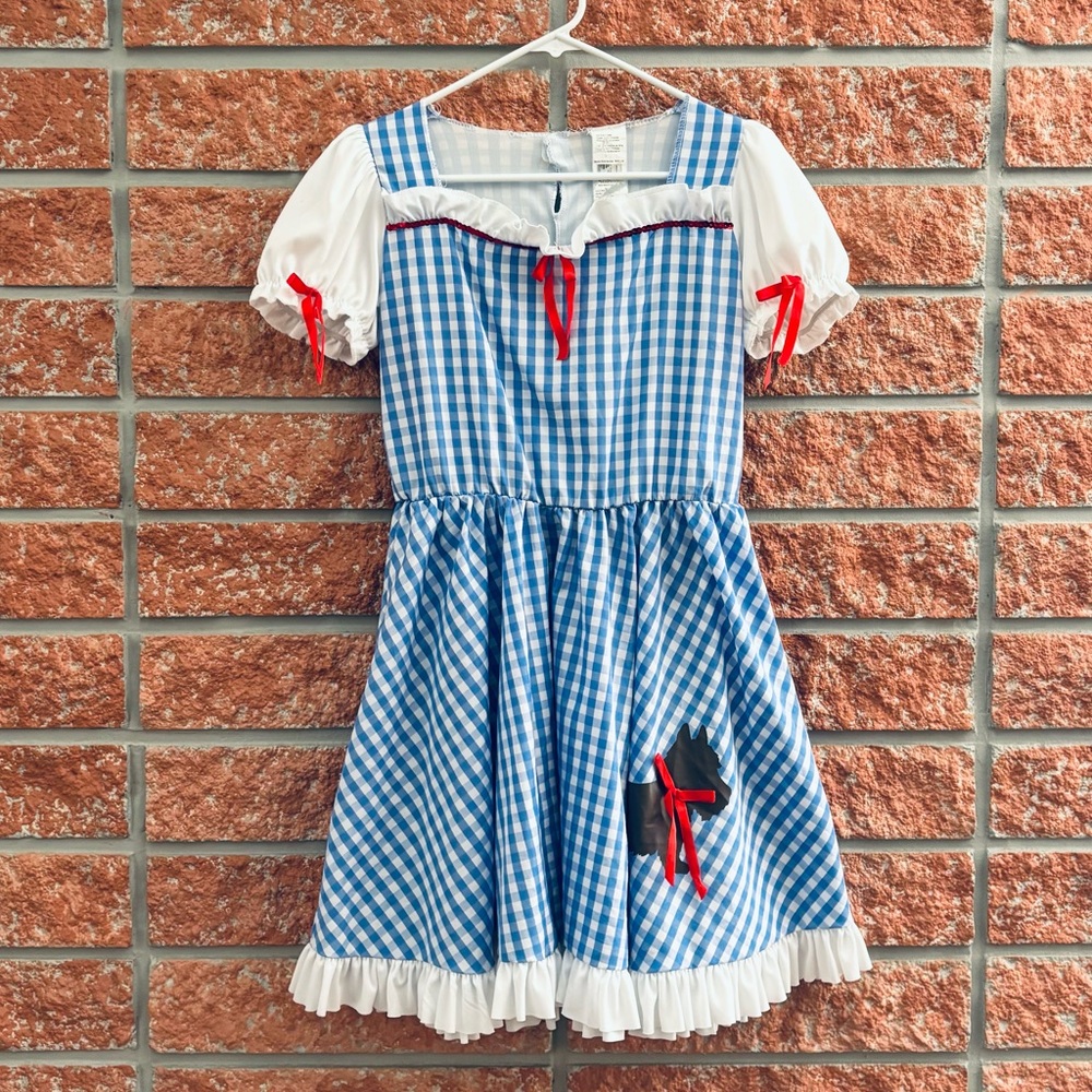 Blue and White Checkered Kids Costume Dress